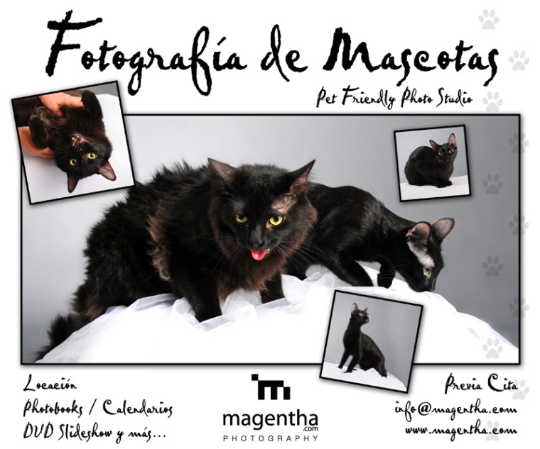 fotografiaDeMascotas_web_fb01